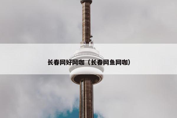 长春网好网咖（长春网鱼网咖）