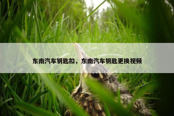 东南汽车钥匙扣,东南汽车钥匙更换视频 东南汽车钥匙扣,东南汽车钥匙更换视频