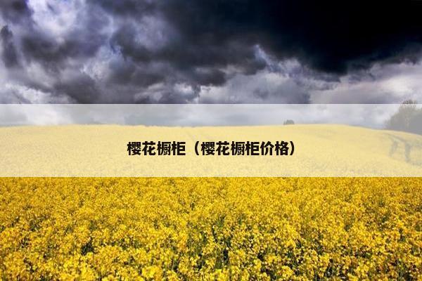 樱花橱柜（樱花橱柜价格）