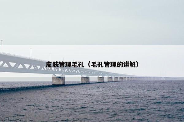 皮肤管理毛孔（毛孔管理的讲解）