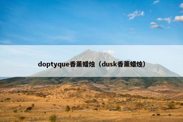 doptyque香薰蜡烛（dusk香薰蜡烛）