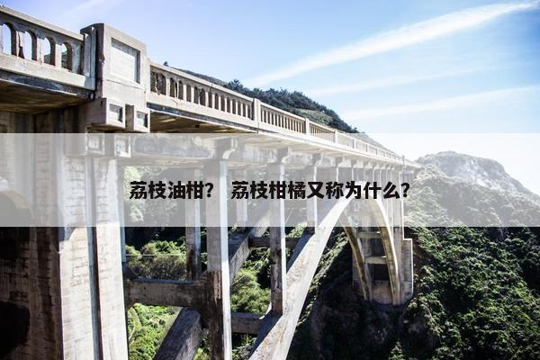 荔枝油柑？ 荔枝柑橘又称为什么？