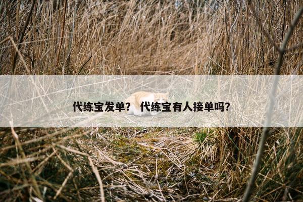 代练宝发单？ 代练宝有人接单吗？