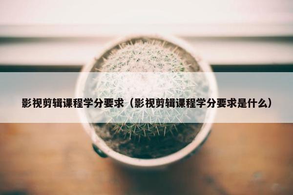影视剪辑课程学分要求（影视剪辑课程学分要求是什么）