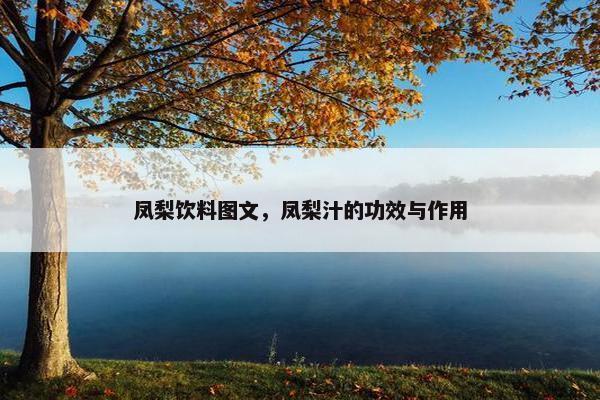 凤梨饮料图文，凤梨汁的功效与作用