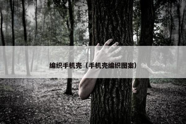 编织手机壳（手机壳编织图案）