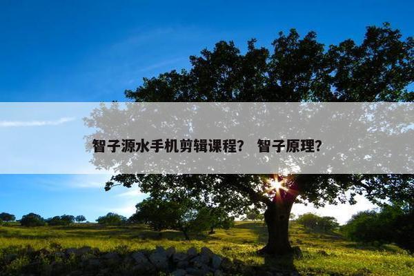 智子源水手机剪辑课程？ 智子原理？