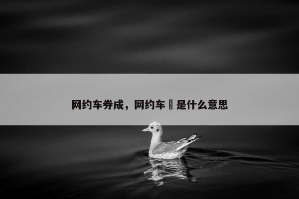 网约车券成，网约车劵是什么意思
