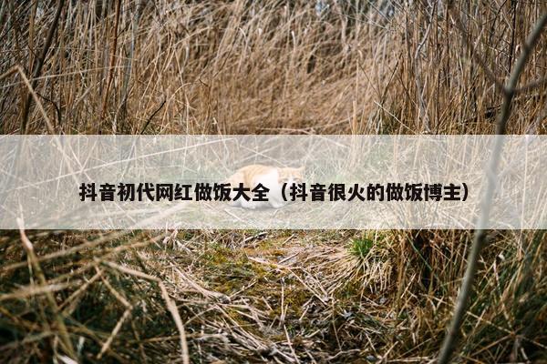 抖音初代网红做饭大全（抖音很火的做饭博主）