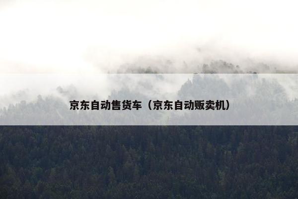 京东自动售货车（京东自动贩卖机）