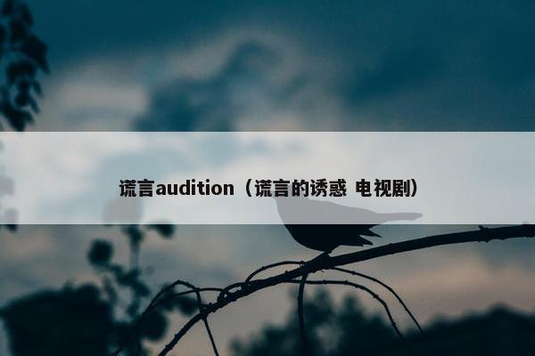 谎言audition(谎言的诱惑 电视剧) 谎言audition(谎言的诱惑 电视剧)