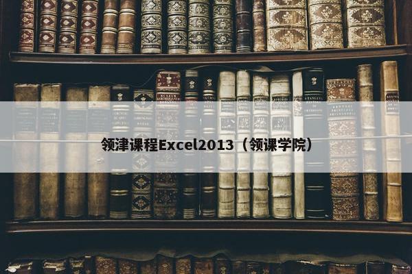 领津课程Excel2013（领课学院）