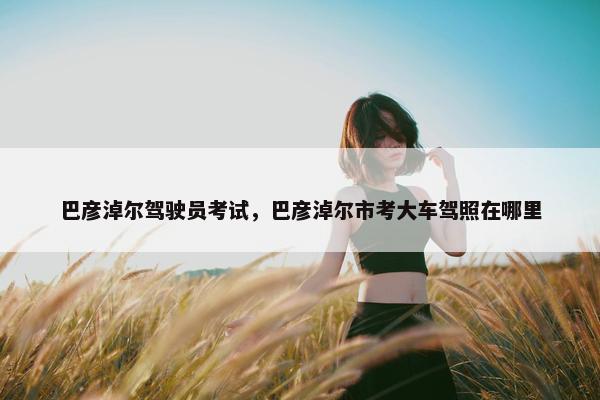 巴彦淖尔驾驶员考试,巴彦淖尔市考大车驾照在哪里 巴彦淖尔驾驶员考试,巴彦淖尔市考大车驾照在哪里