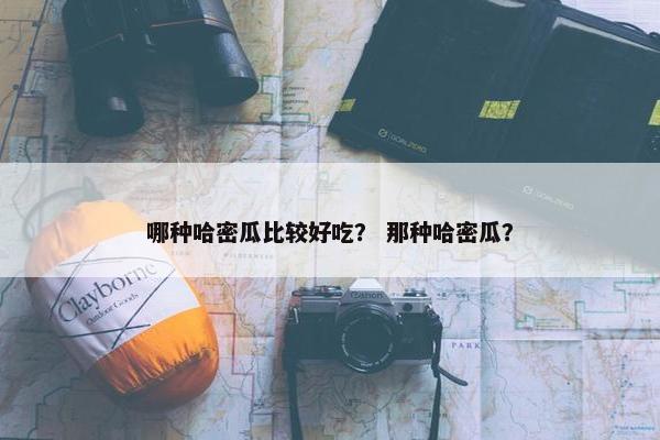 哪种哈密瓜比较好吃? 那种哈密瓜? 哪种哈密瓜比较好吃? 那种哈密瓜?