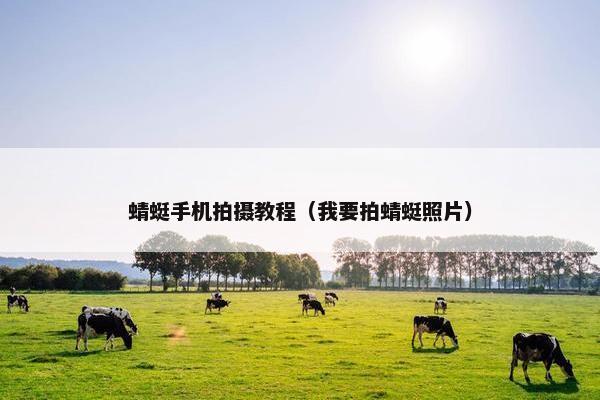 蜻蜓手机拍摄教程(我要拍蜻蜓照片) 蜻蜓手机拍摄教程(我要拍蜻蜓照片)