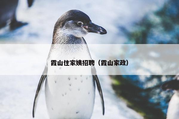 霞山住家姨招聘(霞山家政) 霞山住家姨招聘(霞山家政)