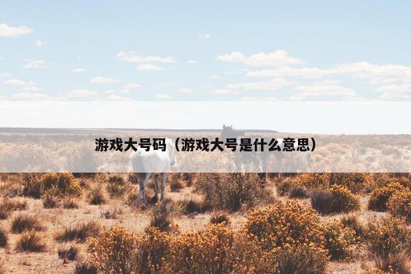 游戏大号码(游戏大号是什么意思) 游戏大号码(游戏大号是什么意思)