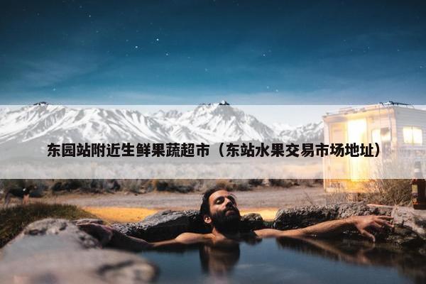 东园站附近生鲜果蔬超市（东站水果交易市场地址）