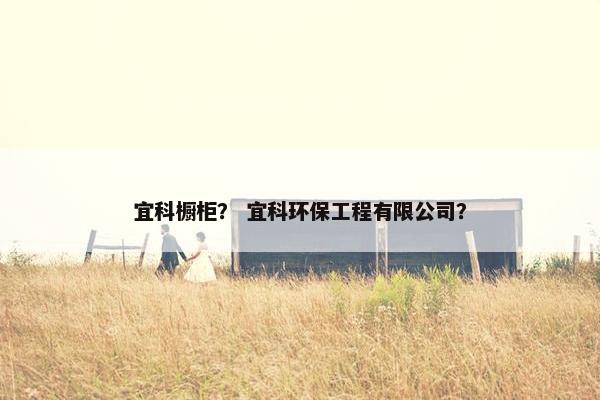 宜科橱柜？ 宜科环保工程有限公司？