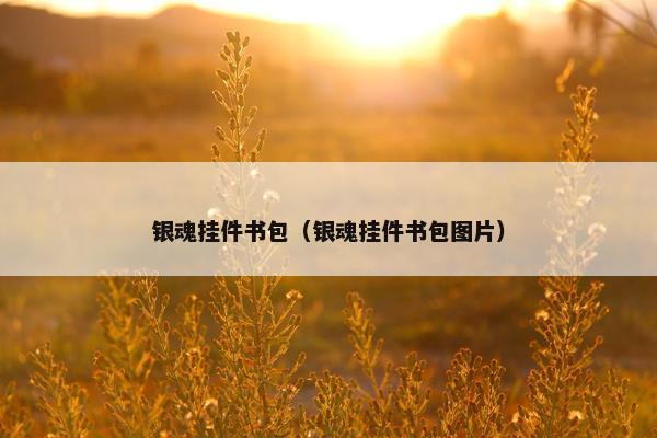 银魂挂件书包（银魂挂件书包图片）