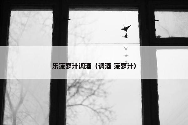 乐菠萝汁调酒（调酒 菠萝汁）