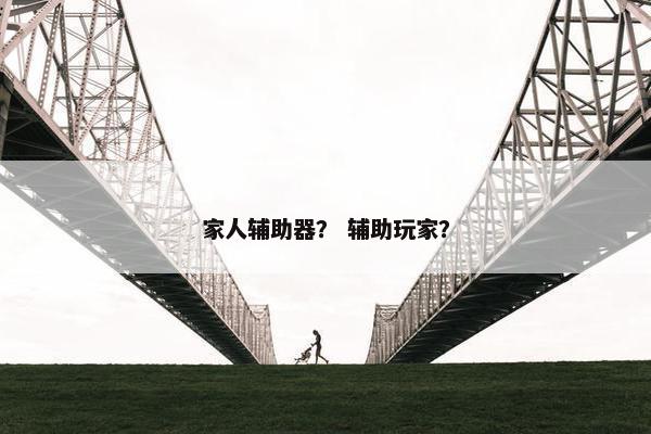 家人辅助器? 辅助玩家? 家人辅助器? 辅助玩家?