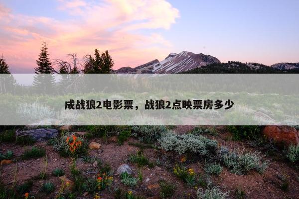 成战狼2电影票，战狼2点映票房多少