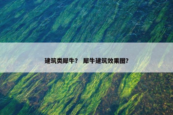建筑类犀牛？ 犀牛建筑效果图？