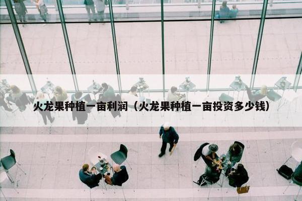 火龙果种植一亩利润（火龙果种植一亩投资多少钱）