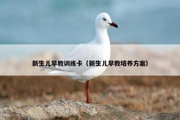新生儿早教训练卡(新生儿早教培养方案) 新生儿早教训练卡(新生儿早教培养方案)