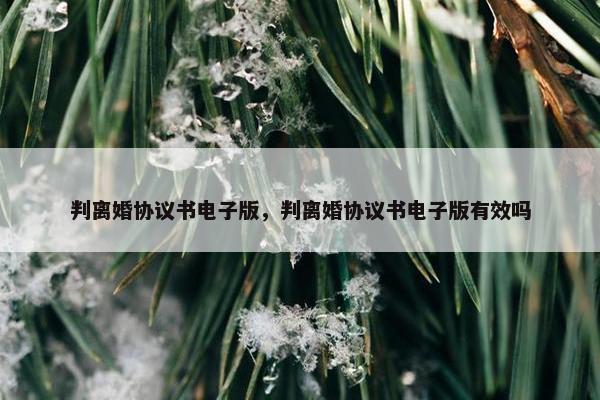 判离婚协议书电子版,判离婚协议书电子版有效吗 判离婚协议书电子版,判离婚协议书电子版有效吗