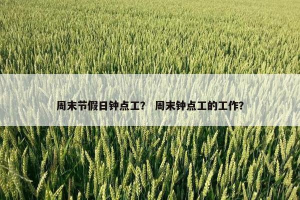 周末节假日钟点工？ 周末钟点工的工作？