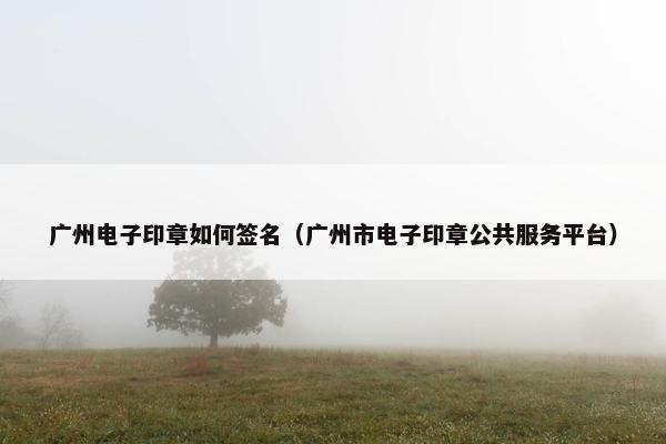 广州电子印章如何签名（广州市电子印章公共服务平台）