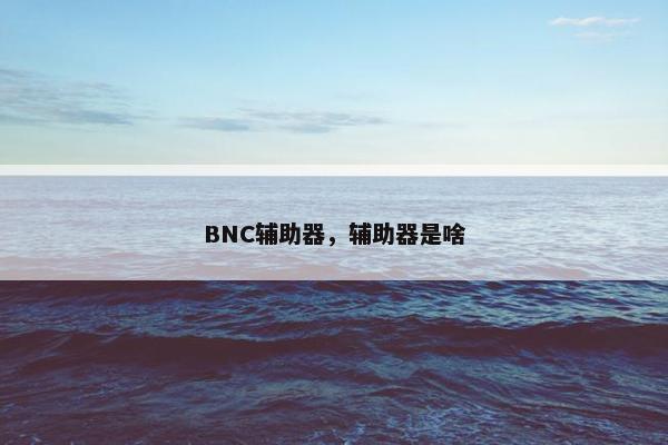 BNC辅助器,辅助器是啥 BNC辅助器,辅助器是啥