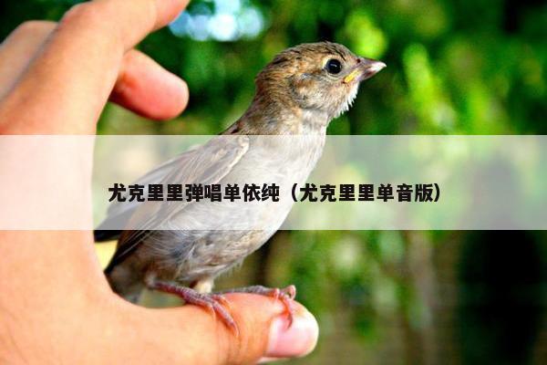 尤克里里弹唱单依纯(尤克里里单音版) 尤克里里弹唱单依纯(尤克里里单音版)
