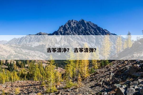 古筝清净？ 古筝清弹？
