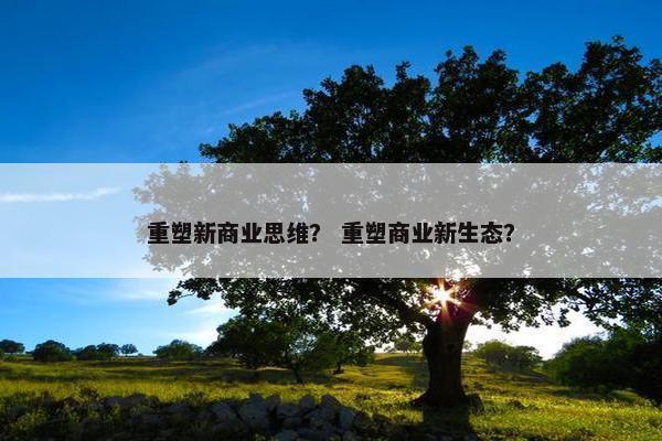 重塑新商业思维? 重塑商业新生态? 重塑新商业思维? 重塑商业新生态?