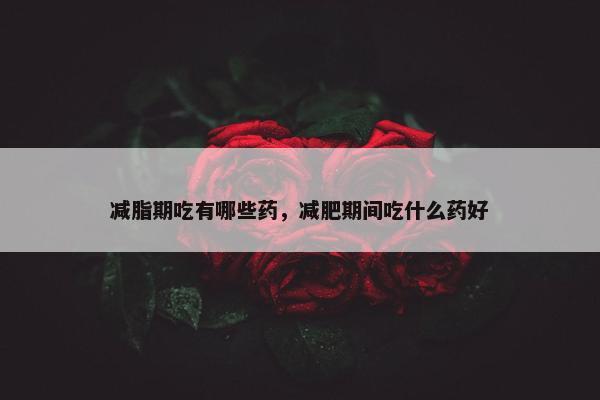 减脂期吃有哪些药，减肥期间吃什么药好
