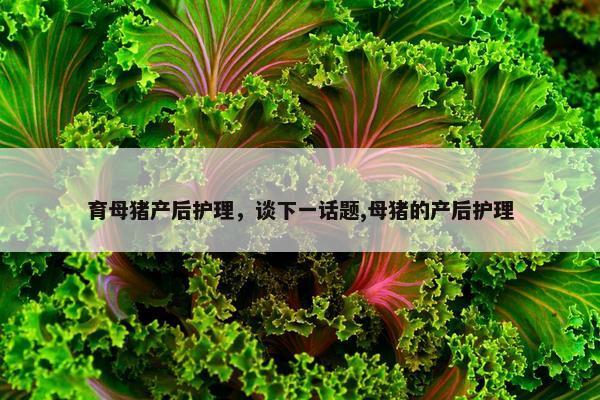 育母猪产后护理,谈下一话题,母猪的产后护理 育母猪产后护理,谈下一话题,母猪的产后护理