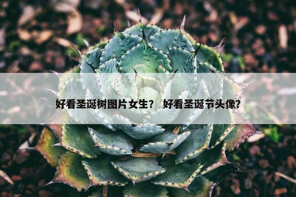 好看圣诞树图片女生？ 好看圣诞节头像？