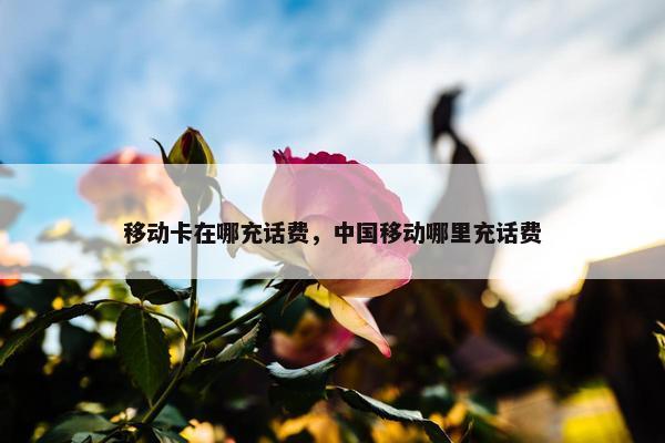 移动卡在哪充话费，中国移动哪里充话费