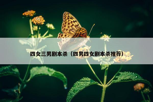 四女三男剧本杀(四男四女剧本杀推荐) 四女三男剧本杀(四男四女剧本杀推荐)