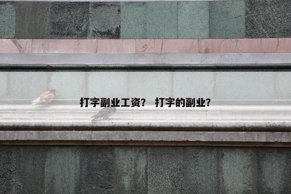 打字副业工资？ 打字的副业？