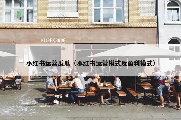 小红书运营瓜瓜（小红书运营模式及盈利模式）