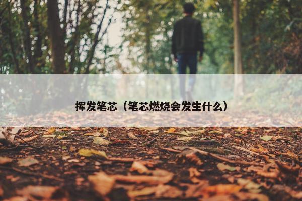 挥发笔芯(笔芯燃烧会发生什么) 挥发笔芯(笔芯燃烧会发生什么)