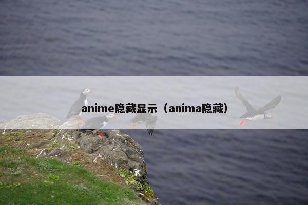 anime隐藏显示(anima隐藏) anime隐藏显示(anima隐藏)