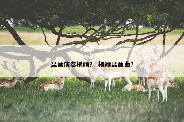 琵琶演奏杨靖? 杨靖琵琶曲? 琵琶演奏杨靖? 杨靖琵琶曲?