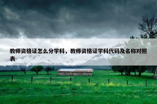 教师资格证怎么分学科，教师资格证学科代码及名称对照表