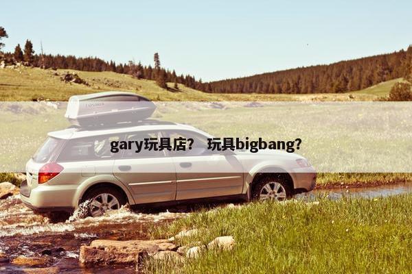 gary玩具店？ 玩具bigbang？