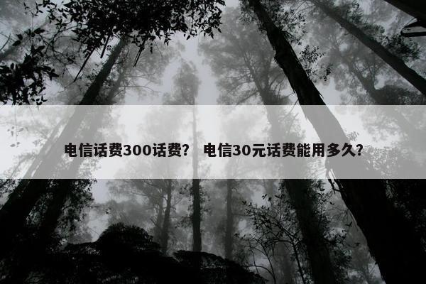 电信话费300话费？ 电信30元话费能用多久？